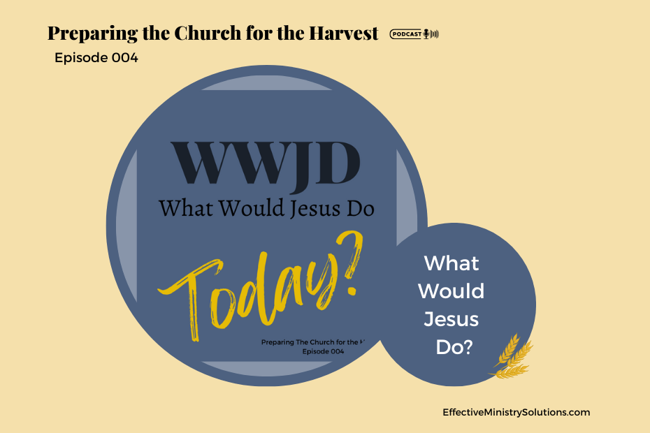 What would Jesus do?