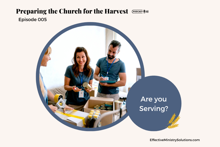 Are you serving