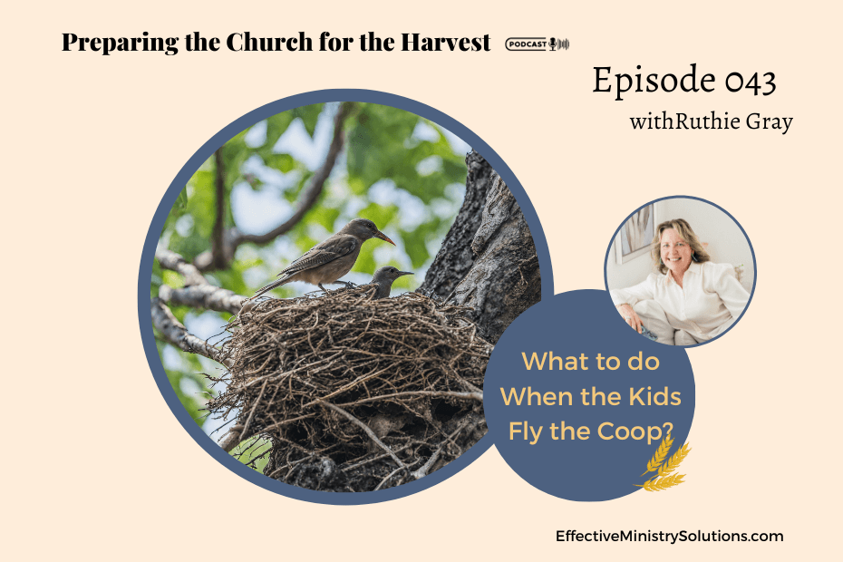 purpose and joy in the empty nest