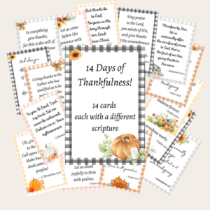 14 Days of Thankfulness
