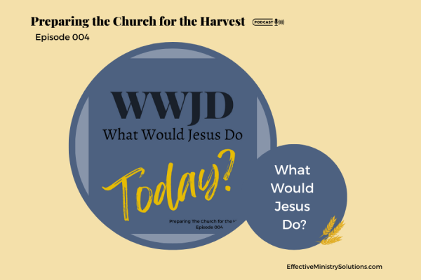 What Would Jesus Do? What Would Jesus Do?