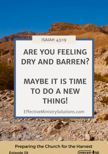 029._Pinterest_Desert_new_thing