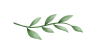 Leaves_image
